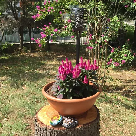 Ilgiardinoincantato