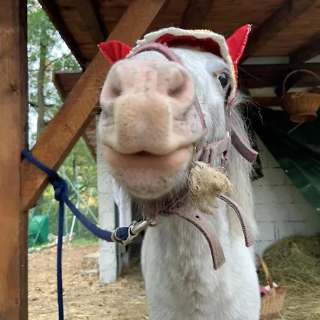 Dom wakacyjny Ilgiardinoincantato Grizzana