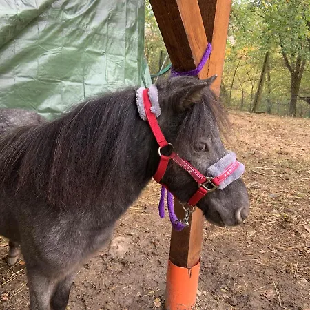 Ilgiardinoincantato Grizzana