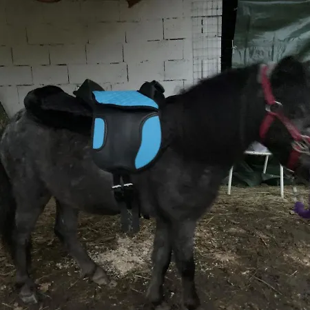 Ilgiardinoincantato * Grizzana