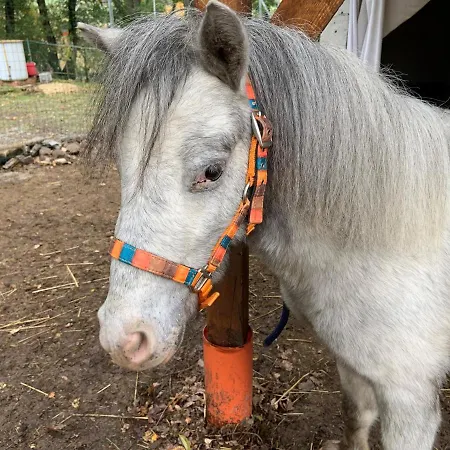 Ilgiardinoincantato Grizzana