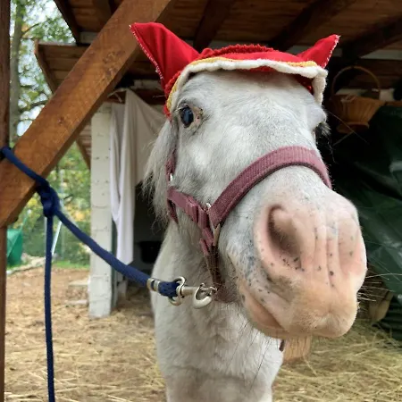 Ilgiardinoincantato * Grizzana