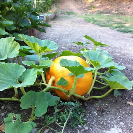 Ilgiardinoincantato * Grizzana