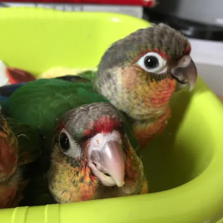 Σπίτι διακοπών Ilgiardinoincantato Grizzana