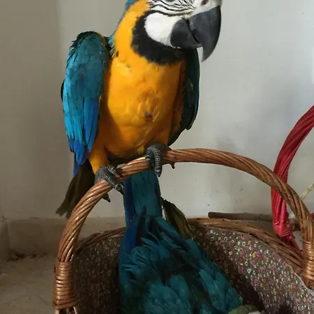 Ilgiardinoincantato Σπίτι διακοπών *