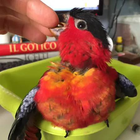 Ilgiardinoincantato Grizzana